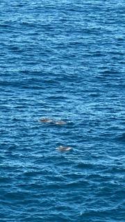 Beach Front Summer at Bondi Beach - 4