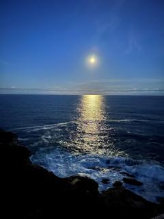 Beach Front Summer at Bondi Beach - 1