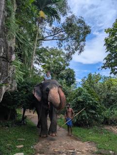 Villa serene galle - 7