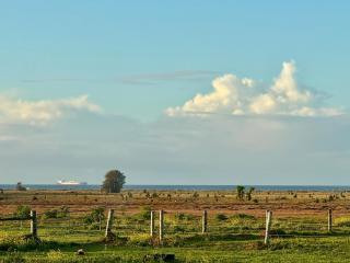 Private Farmhouse & Paddock Available - 1