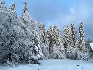 Apartamenty u Jakubika - 9