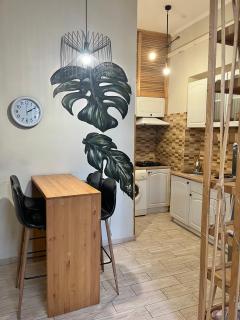 Apartments on Kulisha Street near the Opera House - 2