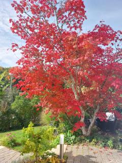 Ferienwohnung Josi , 64 qm 2 Zimmer - 8