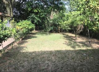 City Apartment 6 con jardín - 2