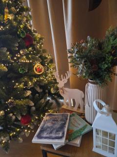 Sobiczkowy Dwór Apartament -Kasprowy Wierch Premium DeLuxe & SPA - 8