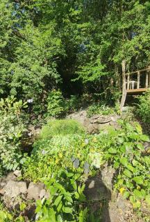 Kaz Coco Bungalow - 9