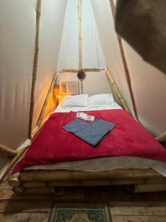 Green House Chalé, hostel e pousada - Saquarema - 5