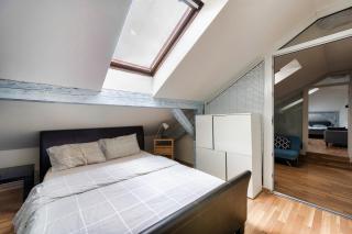 Roof View & Parking Assistance - 1