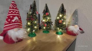 Apartament Ski&Bike Czarna Góra, Sienna - 4