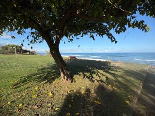 Villa bord de mer, piscine, tennis - 9