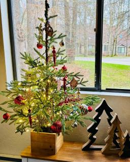 Contemporary Ski Condo - 6