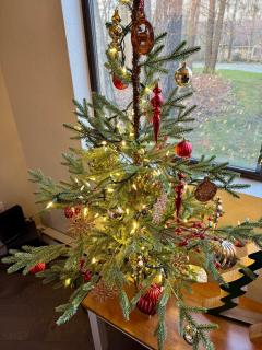 Contemporary Ski Condo - 8