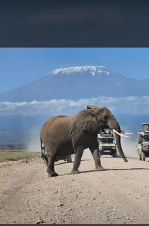 Escape Haven Mara - 2