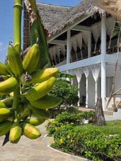 Kupenda House - Milele Resort Tamu, Watamu - 4