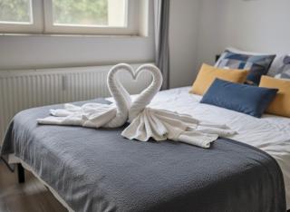 NEW beautiful apartment 15 minutes from the city center - 6