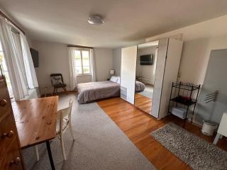 Apartment Olive Neckarmuehle - 3