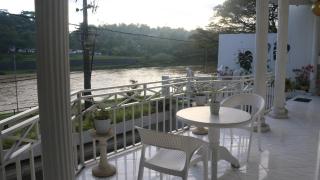 Hill Tips Tea Bangalow - 4