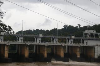 Hill Tips Tea Bangalow - 3