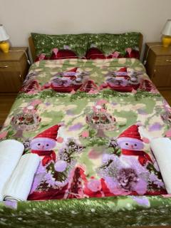 Garsonieră Brazda lui Novac - 0