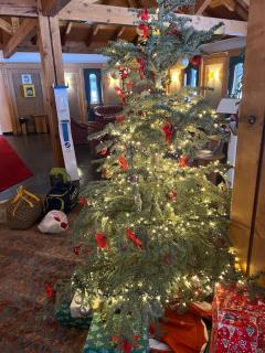 Chalet con vista villaggio ploner - 2