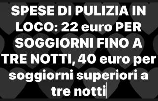 Chalet con vista villaggio ploner - 9