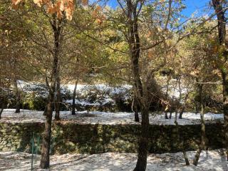 La demeure des vignes - 4