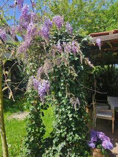 Rural charm and comfort - 5