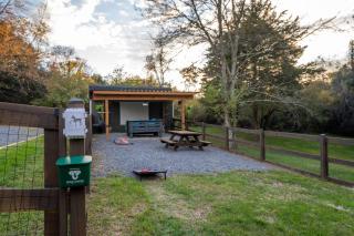 ShenandoahEscape~HotTub~OutdoorCinema~DogFriendly - 3