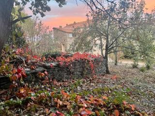 La demeure des vignes - 8