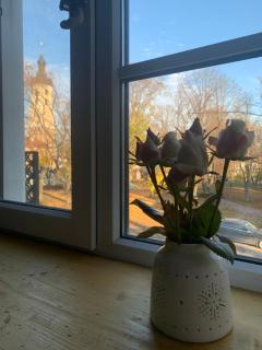 Royal Kamianets Apartment , центр Старого міста , 100м до Ратуші , вид на сквер та історичний центр - 3