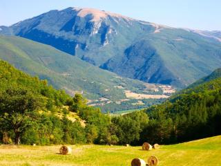 Villa Sole Vini in the Heavenly Heart of Umbria on Top of the World sleeps 50 - 8