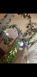 Casa cómoda familiar - 8