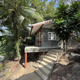 Mangrove bungalow & restaurant - 9