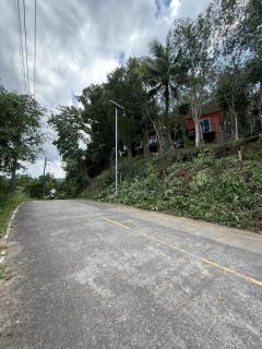 Mangrove bungalow & restaurant - 9