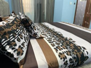 GV Homes and Apartments - 8