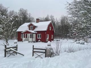 3 bedroom Forest Cabin Retreat in Högsby Småland - 9