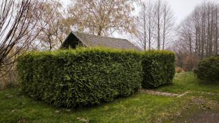 Jaunrūtiņas dīķis - 5