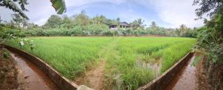 Paddy Breeze Villa Weligama - 9