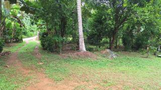 Paddy Breeze Villa Weligama - 4