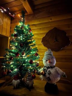 Brvnara Jevtic, Tara - 7