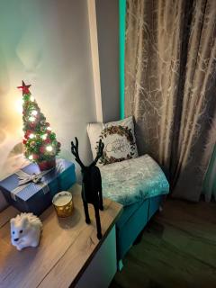 Apartmani Vojvodić Divčibare - 9