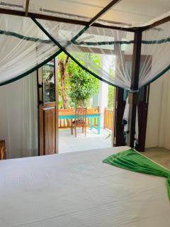 Green Sunlit Weligama - 4