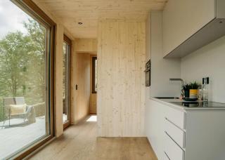 Design House In Black Forest Near Baiersbronn - 6