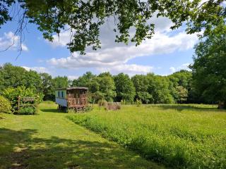 Roulotte Fleur des Champs - 9