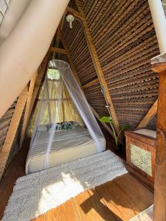 santa catalina shas - 0