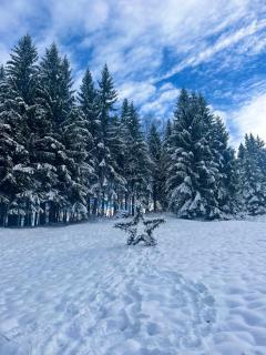 FeWo Alpenherz im Allgäu, mit Balkon und Bergblick - 7