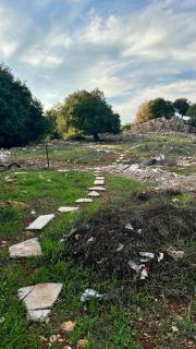 Pine Country Farm Stay - 3