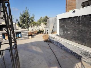 Pine Country Farm Stay - 9