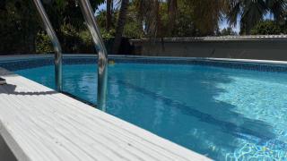 Fleurs de mangue - 7