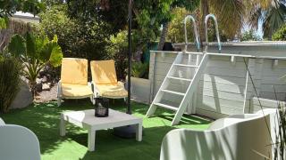 Fleurs de mangue - 8